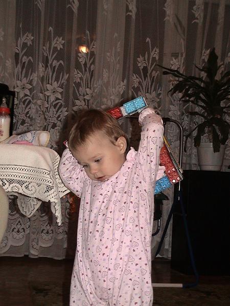 17mies036.jpg