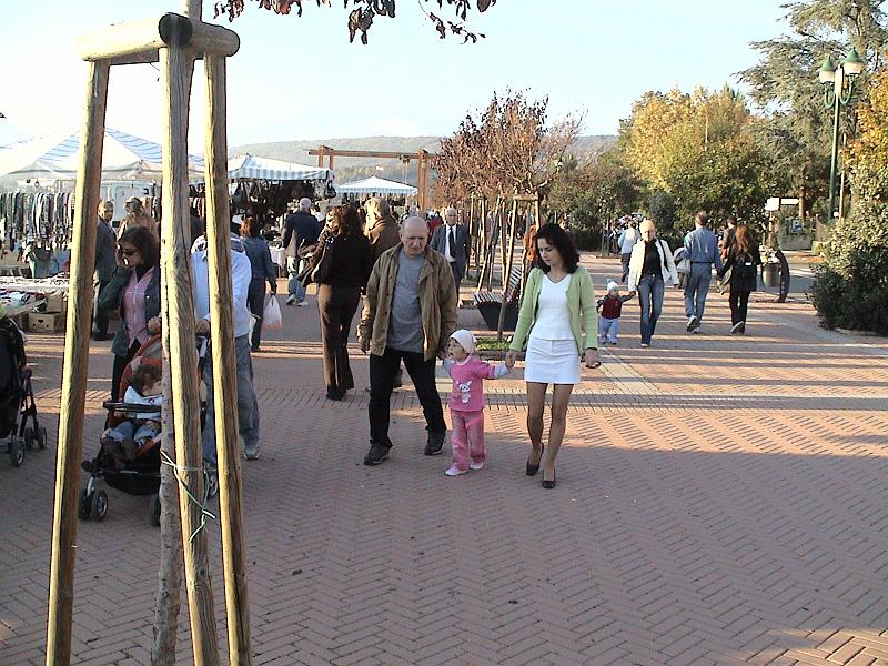 viverone030.jpg