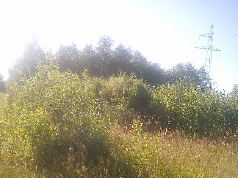 DSC00016.JPG