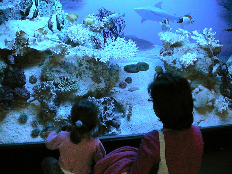 DSC05876.JPG