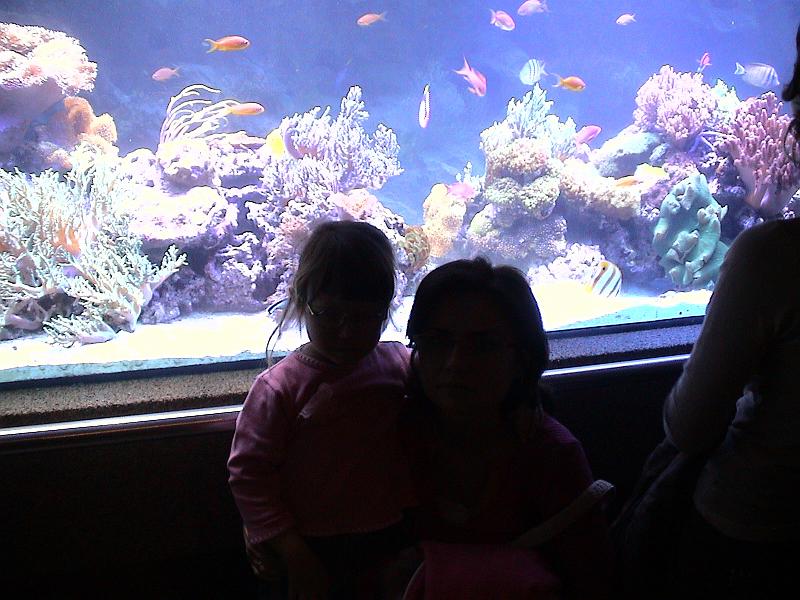 DSC05879.JPG