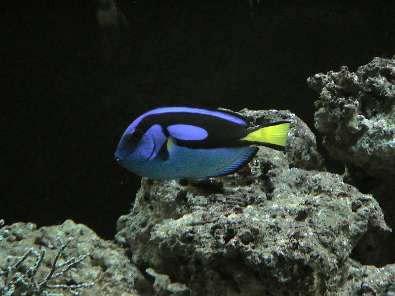DSC05885.JPG