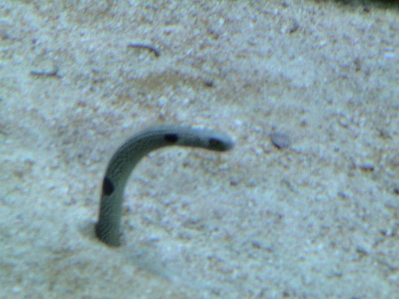 DSC05887.JPG