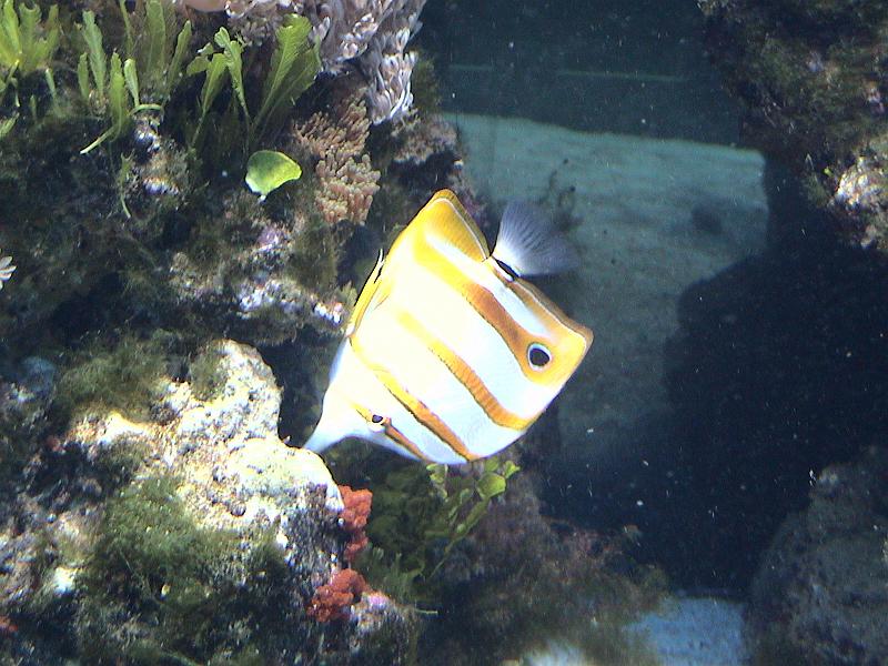 DSC05888.JPG