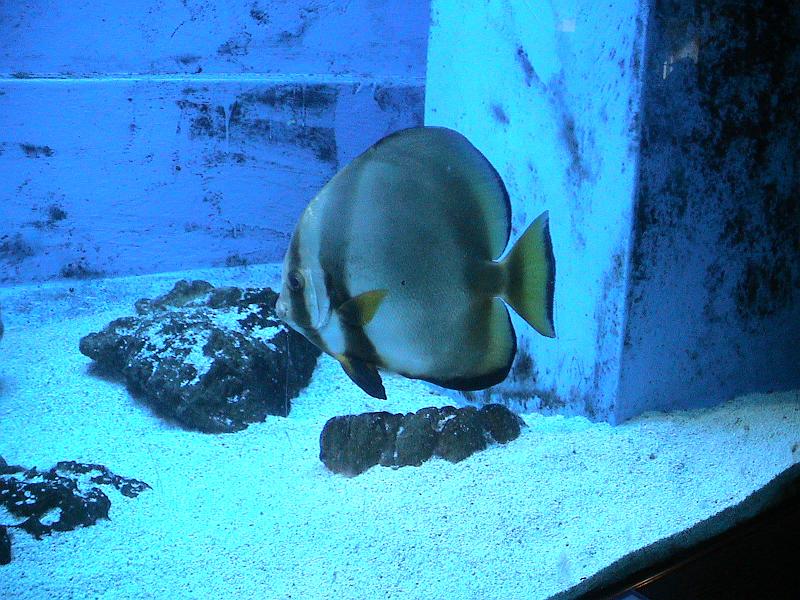 DSC05891.JPG