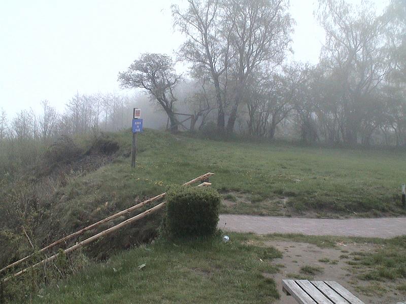 DSC06006.JPG