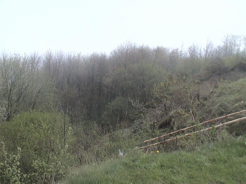 DSC06007.JPG