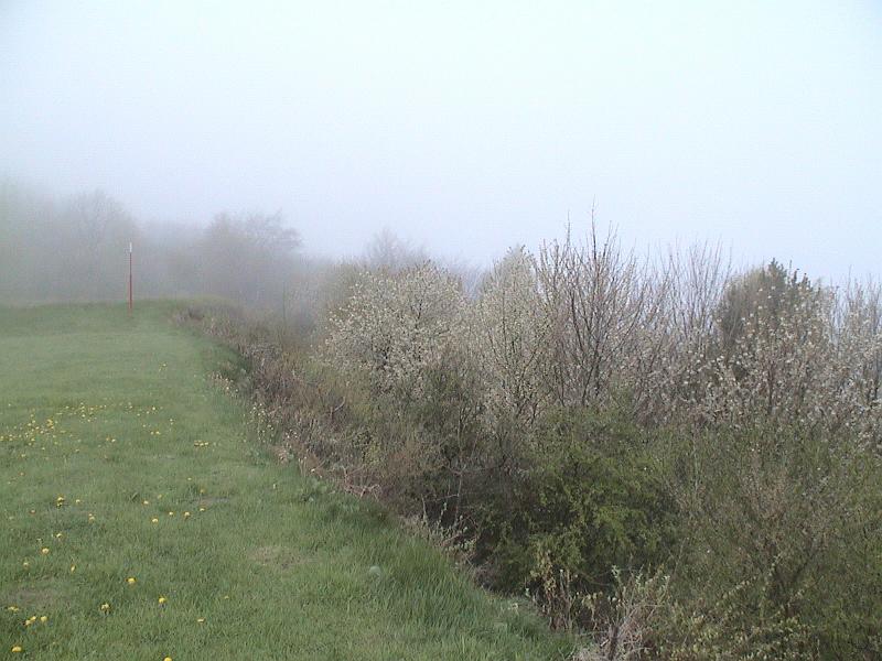 DSC06008.JPG