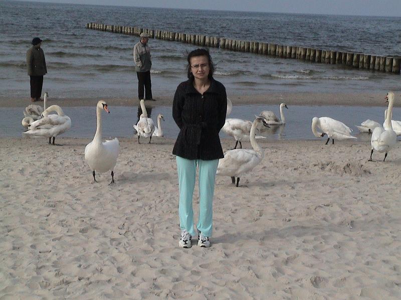 DSC06042.JPG