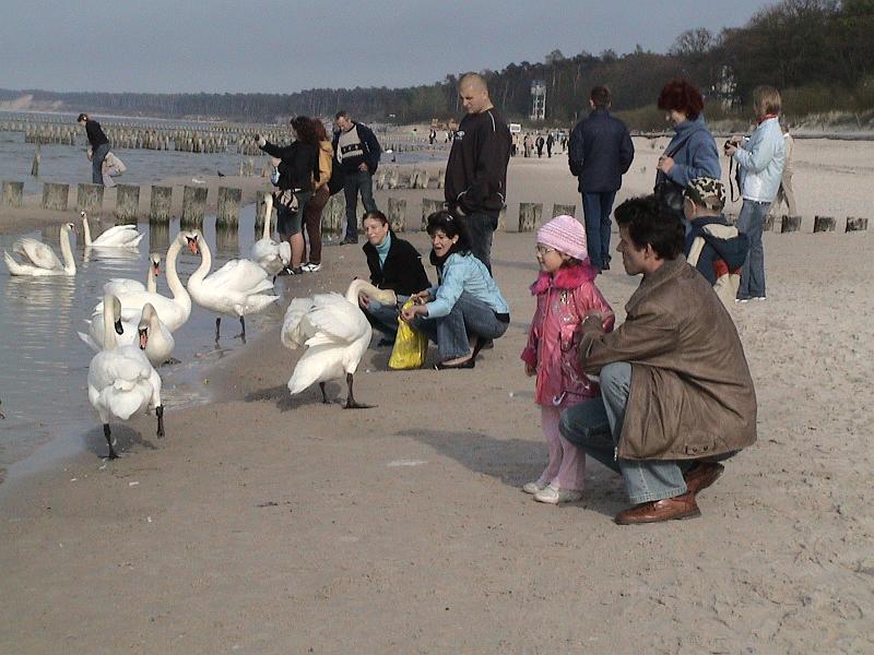 DSC06048.JPG