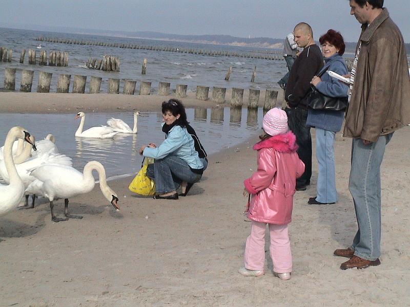 DSC06052.JPG